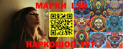 шишки Кимры