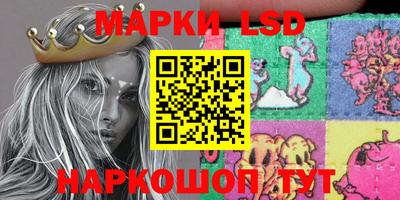 шишки Кимры