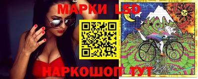 шишки Кимры