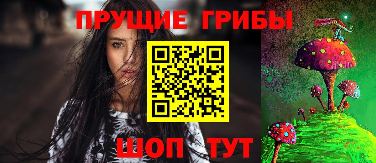 Кингисепп  Галлюциногенные грибы мухоморы  где найти   Вход с VPN 